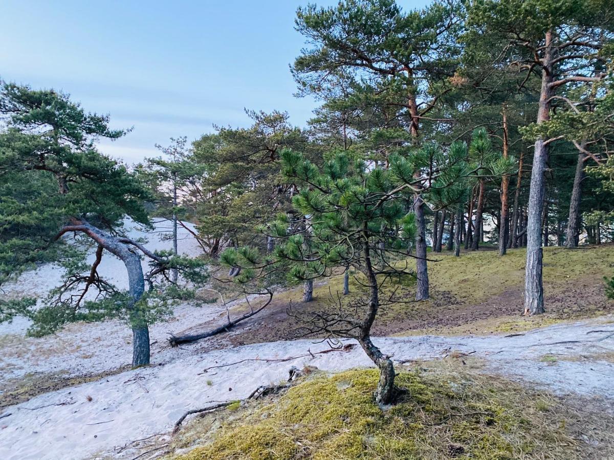 Villa Siedlisko Wytowno Ustka Esterno foto